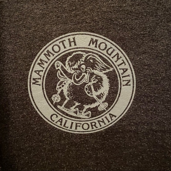 MAMMOTH Gray Hoodie Sweatshirt Size Small-Unisex - Picture 3 of 8